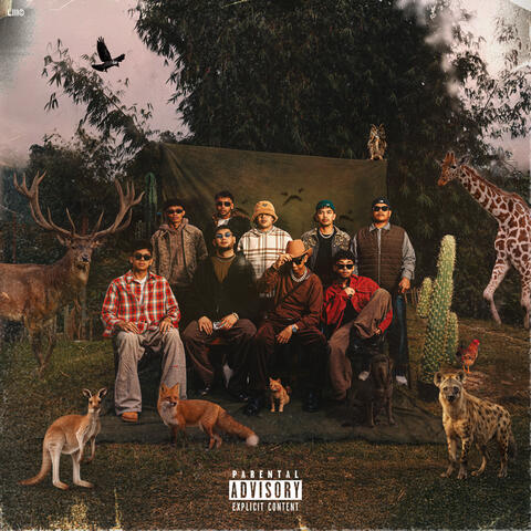 ZOOBOYS album art