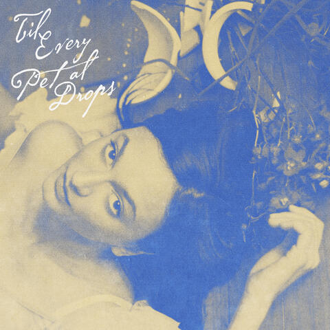 Til Every Petal Drops album art