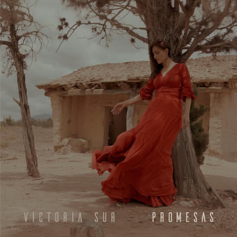 Promesas album art