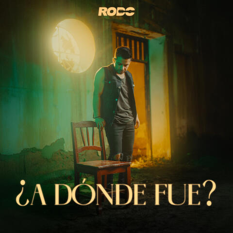 ¿A Dónde Fue? album art