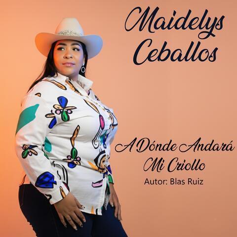 A Donde Andara Mi Criollo album art
