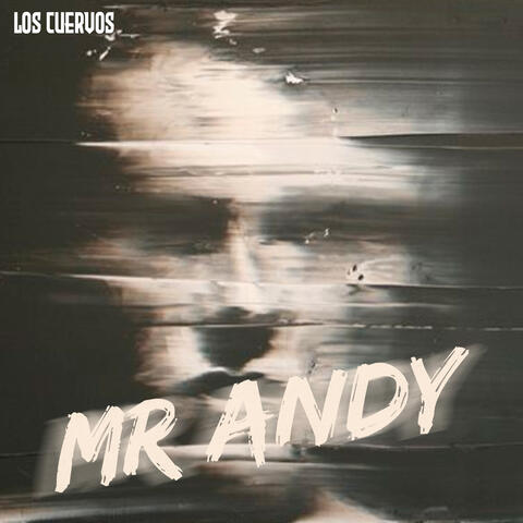 Mr Andy album art