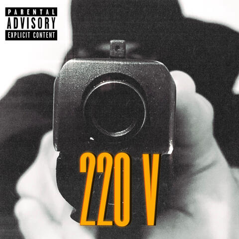 220V album art