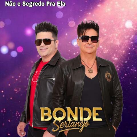 Não e Segredo pra Ela album art