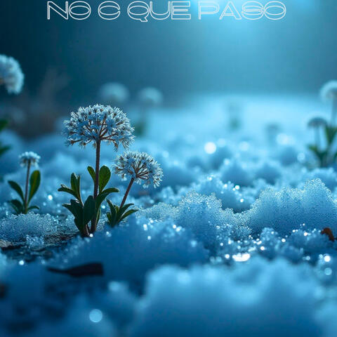 No C Qué Pasó album art