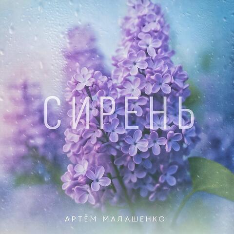 Сирень album art