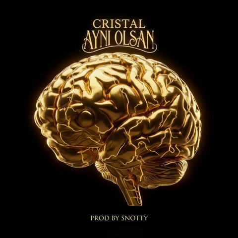 Aynı Olsan album art