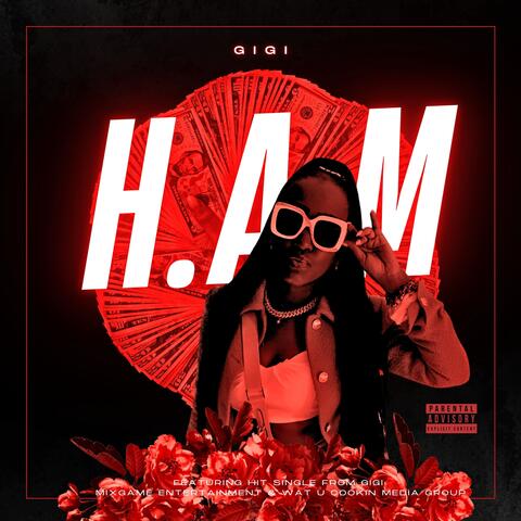 H.A.M. album art
