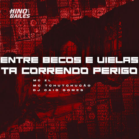 Entre Becos e Vielas Ta Correndo Perigo album art