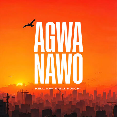 Agwa Nawo album art