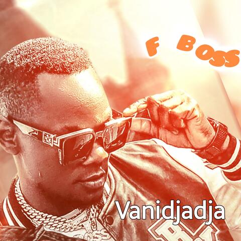 Vanidjadja album art