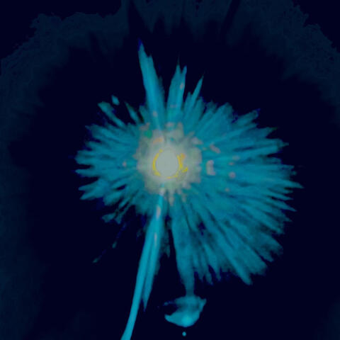 Ясноглазое небо album art