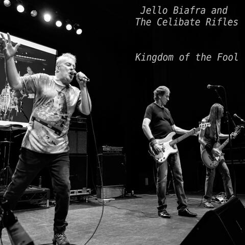 Kingdom of the Fool album art