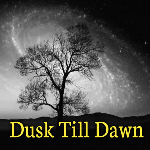 Dusk Till Dawn album art