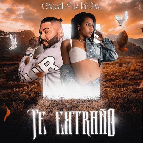 Te Estraño album art