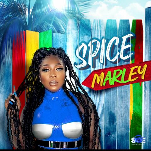 Spice Marley album art