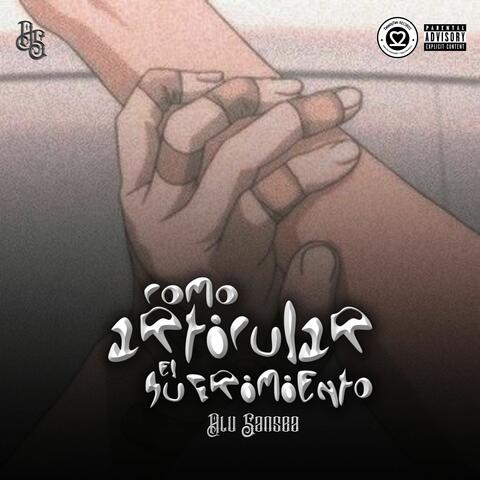 Cómo Articular el Sufrimiento album art