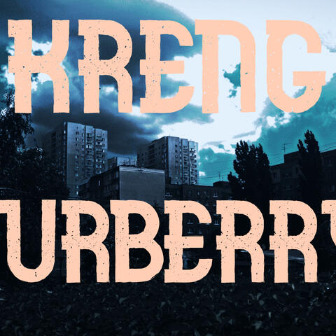 Burberry album art
