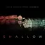 Shallow (The Duet with Garth Brooks and Trisha Yearwood) album artwork