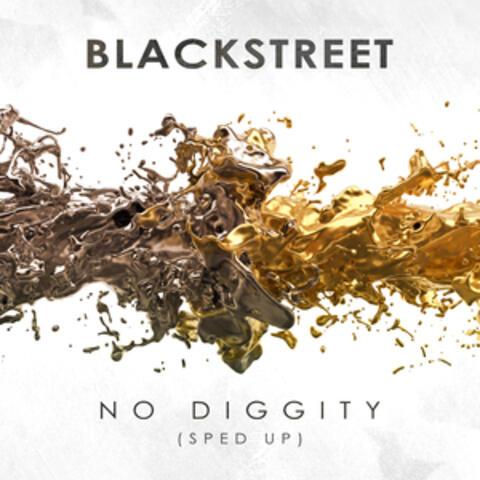 No Diggity (Re-Recorded - Sped Up) album art