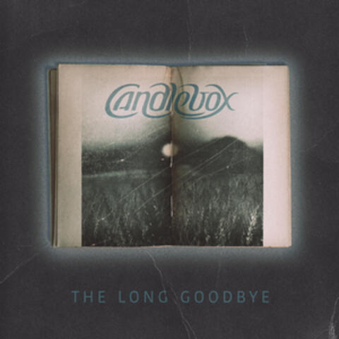 The Long Goodbye album art