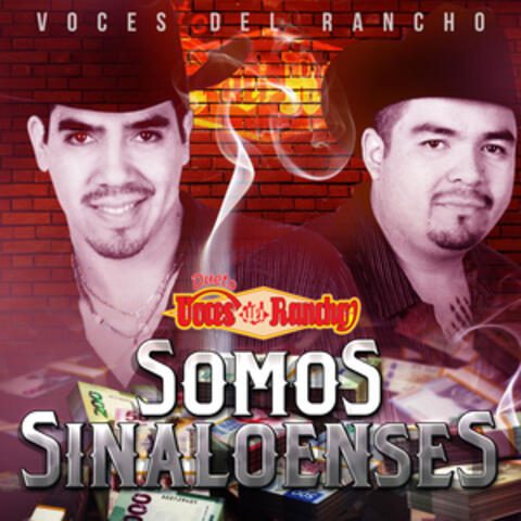 Somos Sinaloenses album art