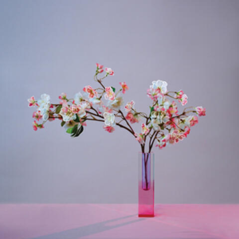 plum blossom album art