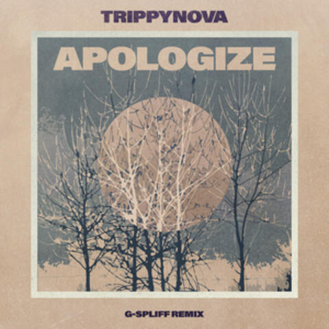 Apologize (G-Spliff Remix) album art