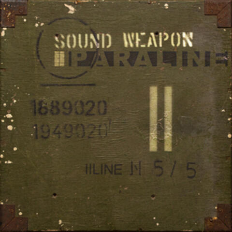 Sound Weapon album art