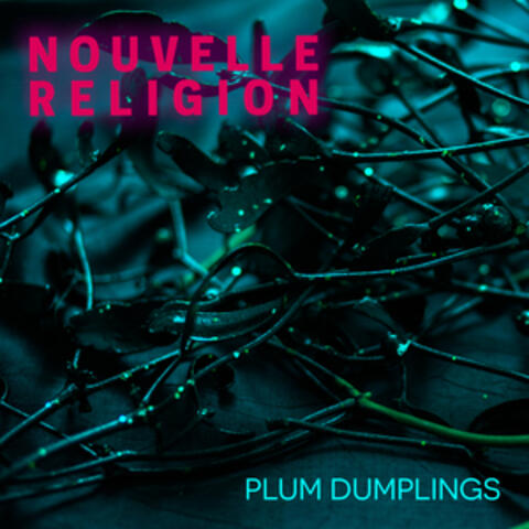 Nouvelle Religion album art