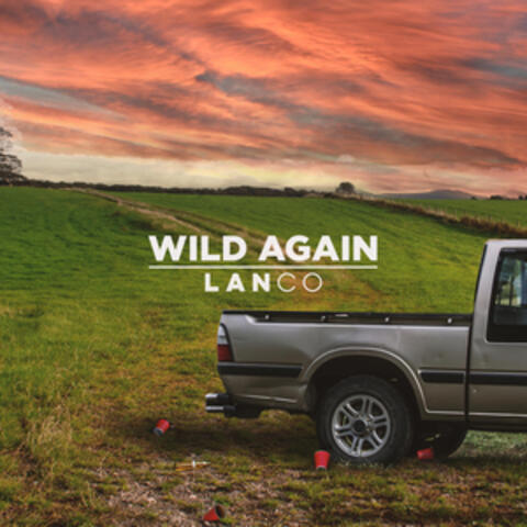 Wild Again album art