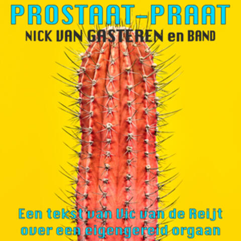 Prostaat-Praat album art