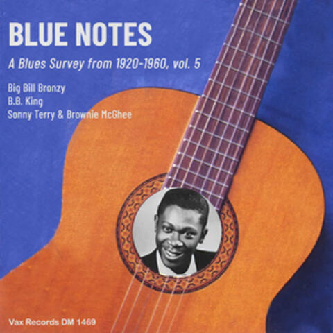 Blue Notes – A Blues Survey from 1920-1960, vol. 5 album art