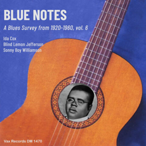 Blue Notes – A Blues Survey from 1920-1960, vol. 6 album art