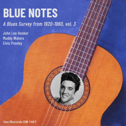 Blue Notes – A Blues Survey from 1920-1960, vol. 3 album art