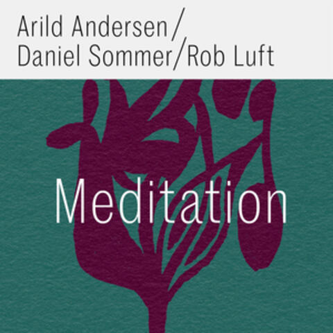 Meditation album art