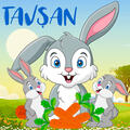 Thumbnail Image