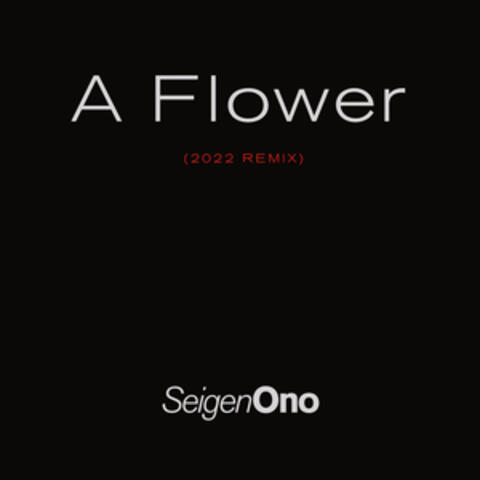A Flower (2022 REMIX) album art