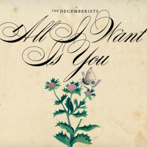 All I Want Is You album art