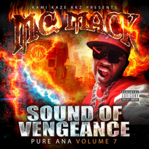 Sound of Vengeance: Pure Ana Volume 7 album art