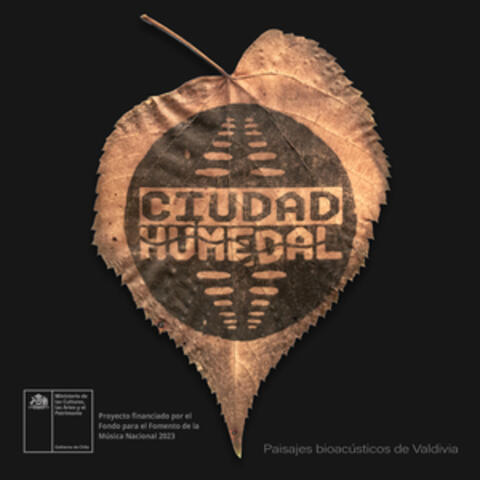 Ciudad Humedal: Paisajes bioacústicos de Valdivia album art