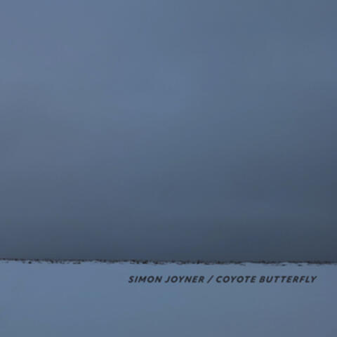 Coyote Butterfly album art