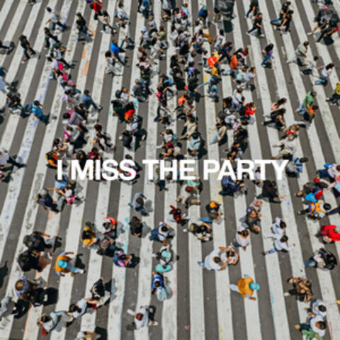 I Miss the Party album art