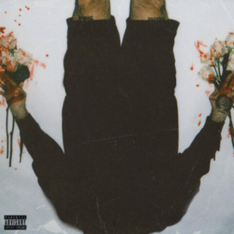 CANT REPLACE ME album art