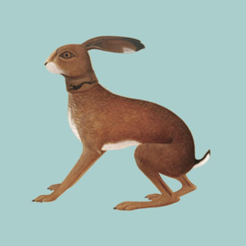 Lookaftering (Expanded Version) album art
