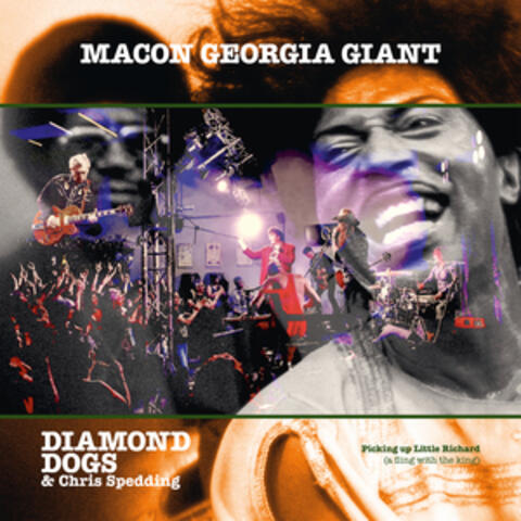 Macon Georgia Giant album art