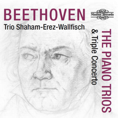 Beethoven: The Piano Trios & Triple Concerto album art
