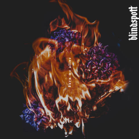 Burn Me Alive album art