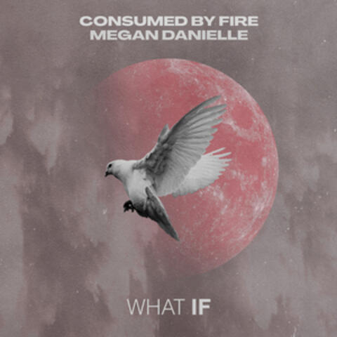 What If album art