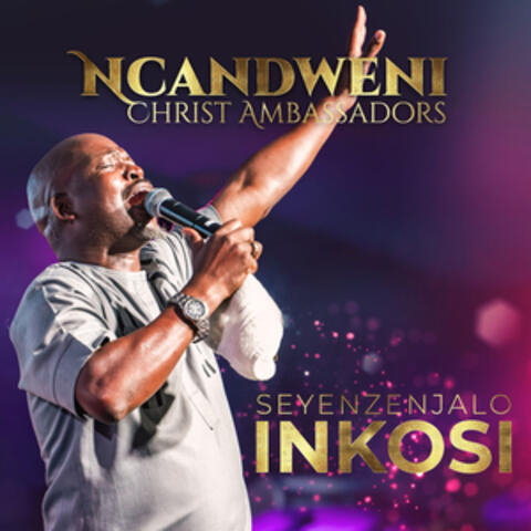 Seyenzenjalo Inkosi album art